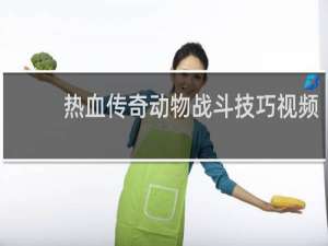 热血传奇动物战斗技巧视频