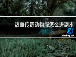 热血传奇动物服怎么进副本