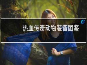 热血传奇动物装备图鉴