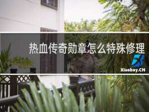 热血传奇勋章怎么特殊修理