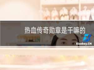 热血传奇勋章是干嘛的