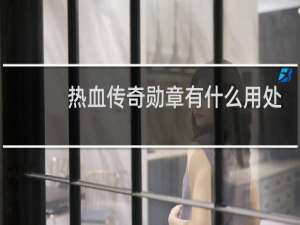 热血传奇勋章有什么用处