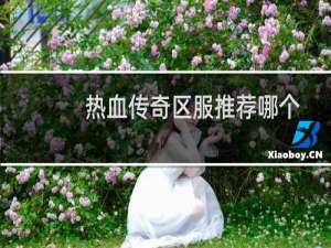 热血传奇区服推荐哪个