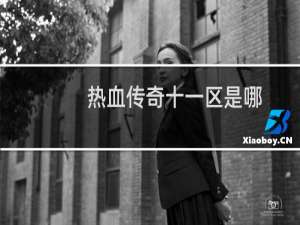 热血传奇十一区是哪