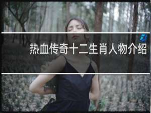 热血传奇十二生肖人物介绍