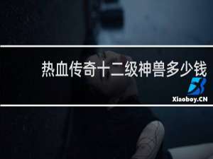 热血传奇十二级神兽多少钱