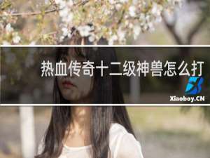 热血传奇十二级神兽怎么打