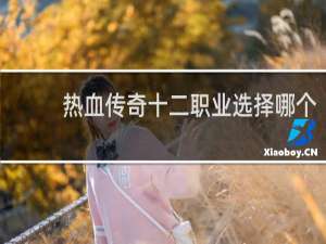 热血传奇十二职业选择哪个
