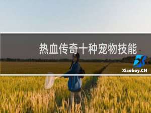 热血传奇十种宠物技能