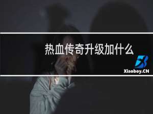 热血传奇升级加什么