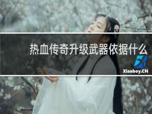 热血传奇升级武器依据什么