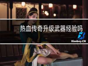 热血传奇升级武器经验吗