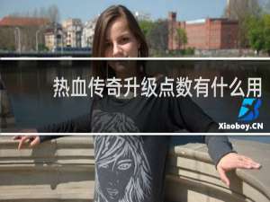 热血传奇升级点数有什么用