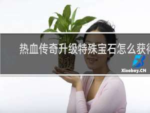 热血传奇升级特殊宝石怎么获得