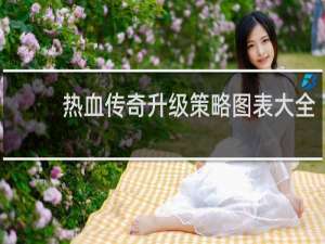 热血传奇升级策略图表大全