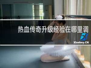 热血传奇升级经验在哪里调
