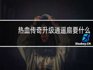 热血传奇升级逍遥扇要什么