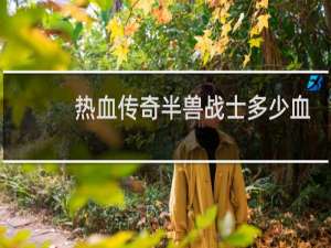 热血传奇半兽战士多少血