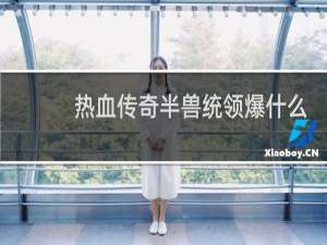 热血传奇半兽统领爆什么