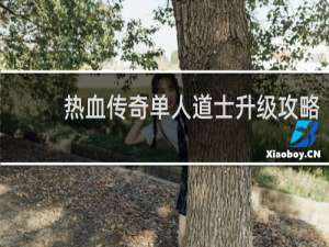 热血传奇单人道士升级攻略