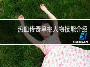 热血传奇单挑人物技能介绍