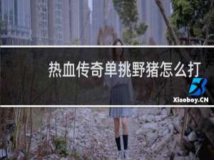 热血传奇单挑野猪怎么打