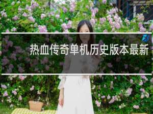 热血传奇单机历史版本最新