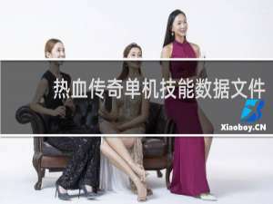 热血传奇单机技能数据文件