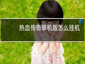 热血传奇单机版怎么挂机