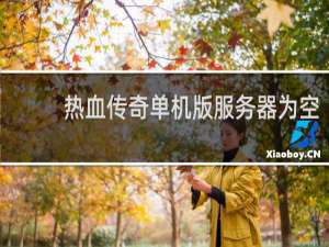 热血传奇单机版服务器为空