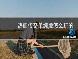 熱血傳奇單純版怎么玩的