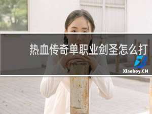 热血传奇单职业剑圣怎么打