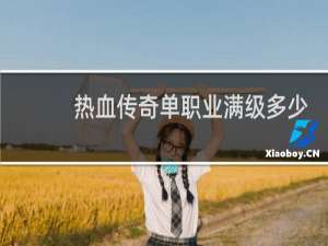 热血传奇单职业满级多少