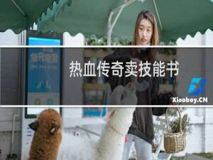 热血传奇卖技能书