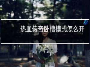 热血传奇卧槽模式怎么开