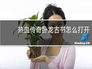 热血传奇卧龙古书怎么打开