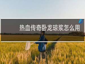 热血传奇卧龙琼浆怎么用