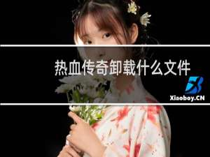 热血传奇卸载什么文件