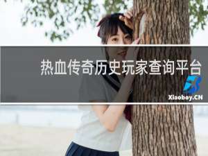 热血传奇历史玩家查询平台