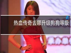 热血传奇去哪升级狗狗等级