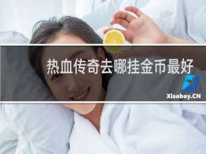 热血传奇去哪挂金币最好