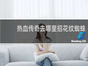 熱血傳奇去哪里招花紋蜘蛛