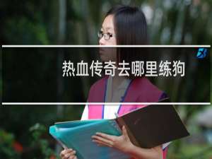热血传奇去哪里练狗