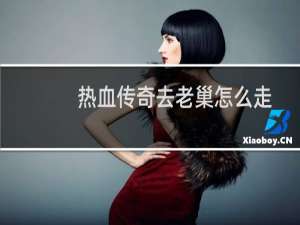 热血传奇去老巢怎么走