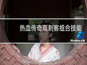 热血传奇双刺客组合技能