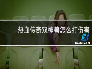 热血传奇双神兽怎么打伤害