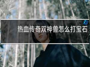 热血传奇双神兽怎么打宝石