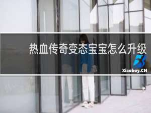 热血传奇变态宝宝怎么升级