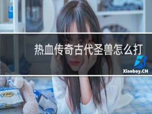 热血传奇古代圣兽怎么打