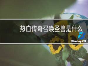 热血传奇召唤圣兽是什么